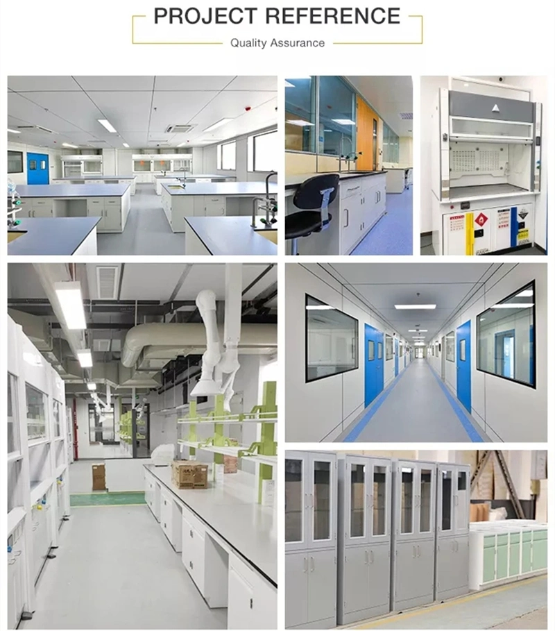 China Doubles Sides Type Vertical Horizontal Laminar Air Flow Cabinet/Clean Bench/Laminar Flow Hoods