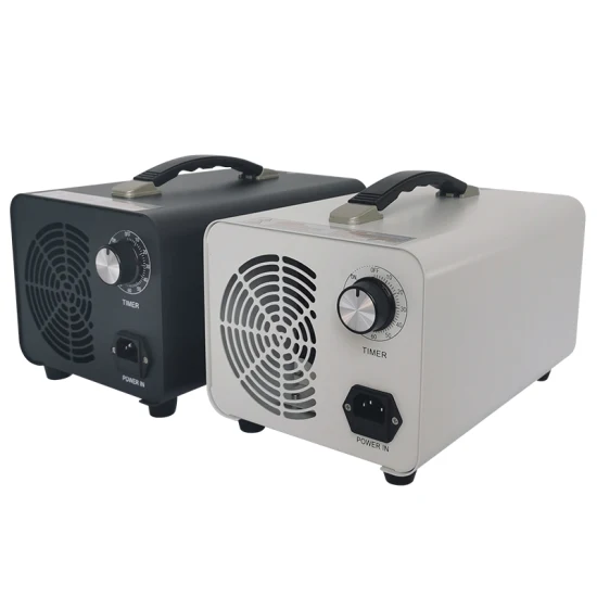 Générateur d'ozone portable de haute qualité ozonateur 220V 110V pour l'air